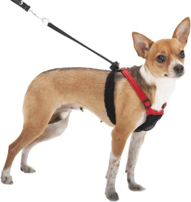 Sporn Non-Pull Mesh Dog Harness, Red, Small