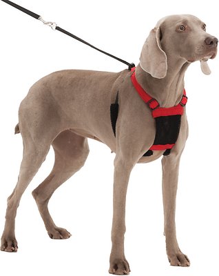Sporn Non-Pull Mesh Dog Harness, Red, Large/X-Large