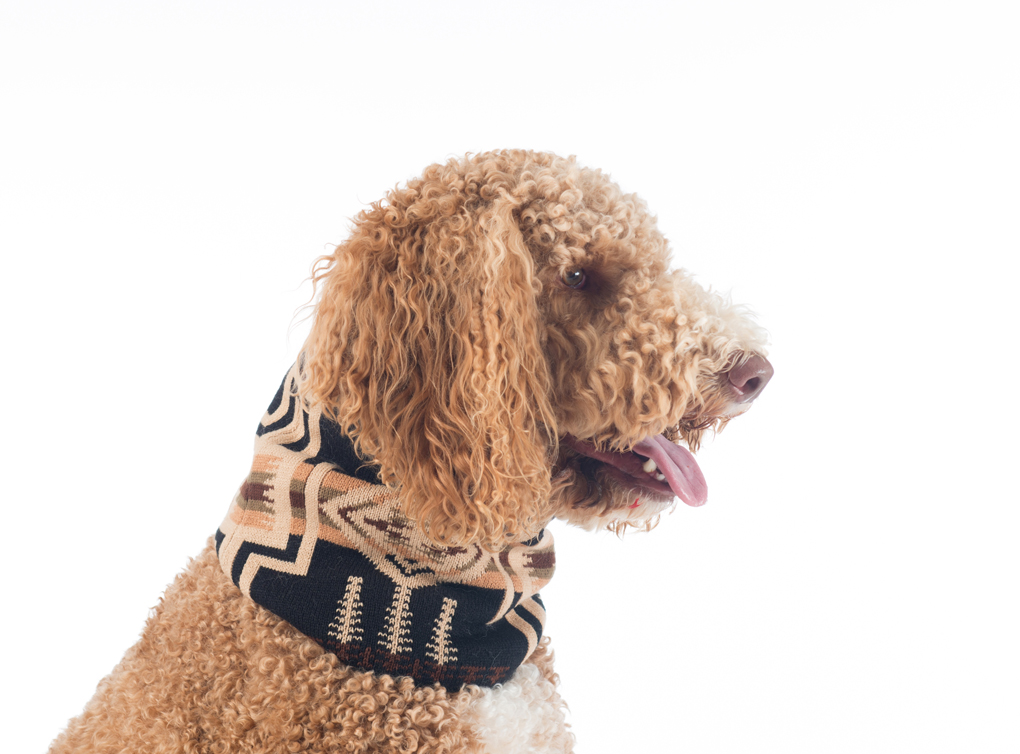 Pendleton Pet Snood, Harding, Small/Medium