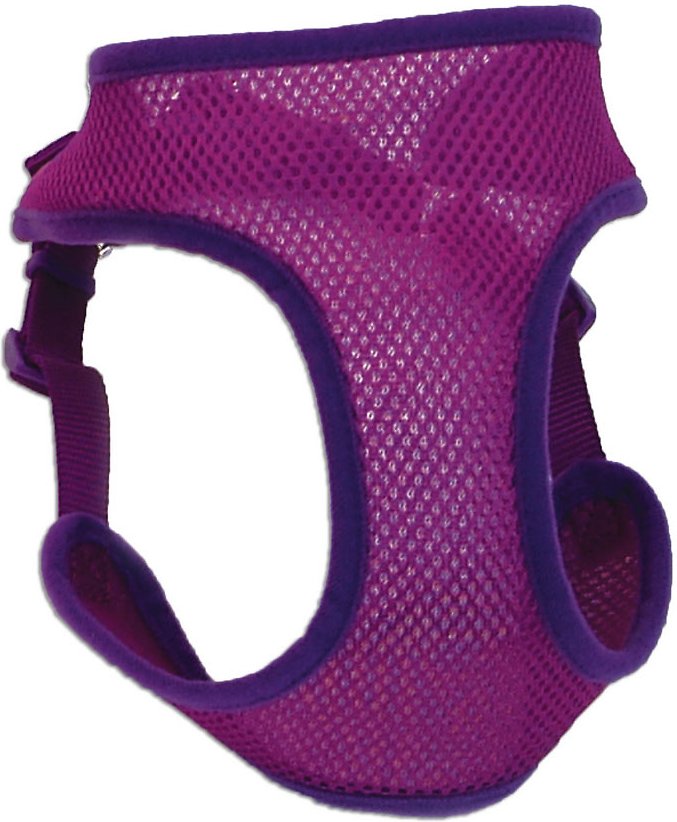 Coastal Comfort Soft Wrap Adjustable Dog Harness, Orchid