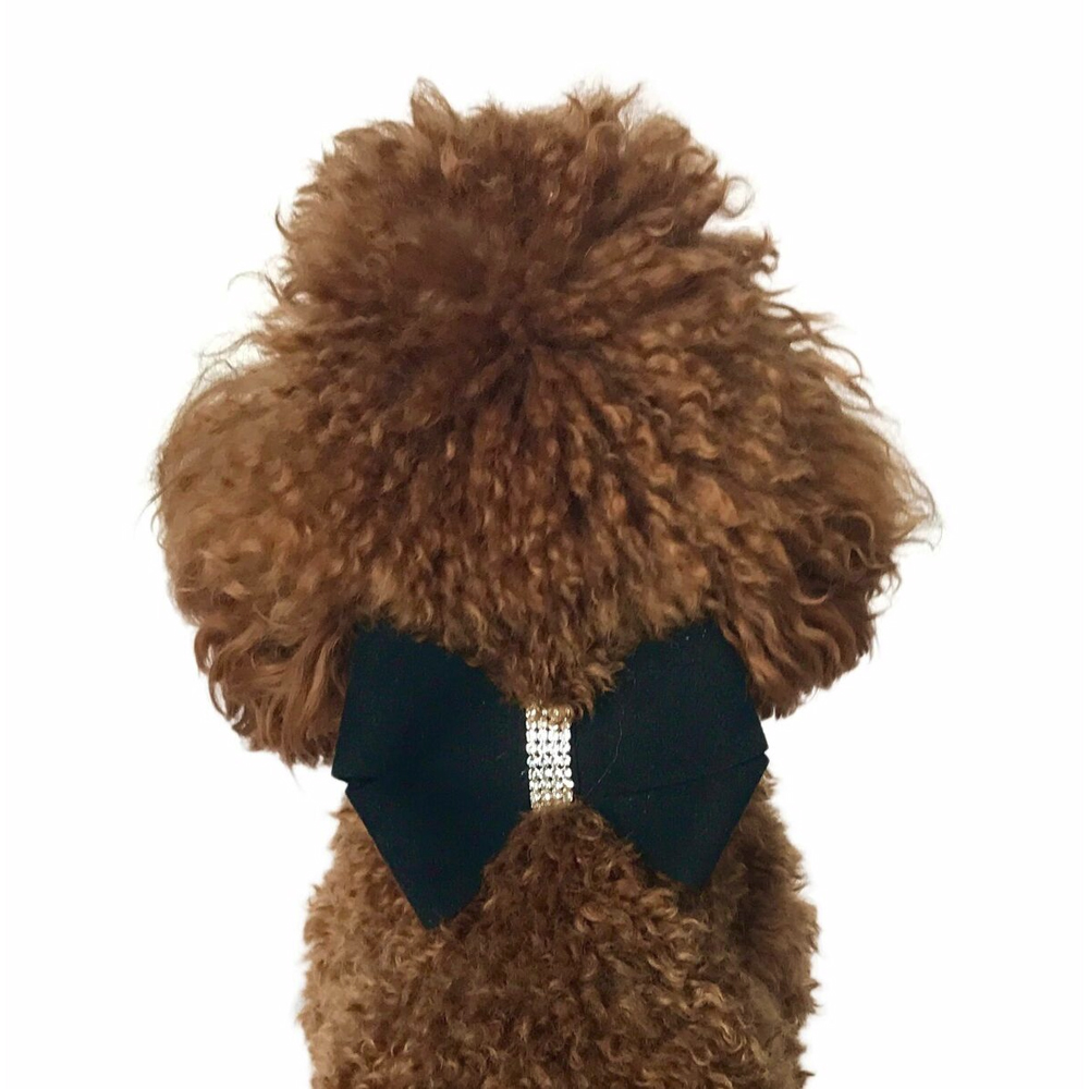 The Dog Squad Westminster Grand Champion Bow Collar Slider, Black