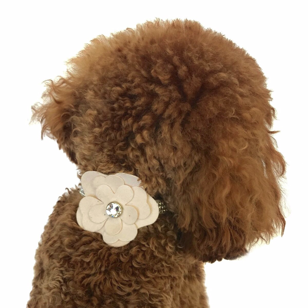 The Dog Squad Flower Collar Slider, Blush