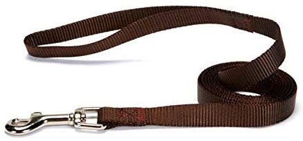 ZACK & ZOEY Nylon Dog Leash, Chocolate