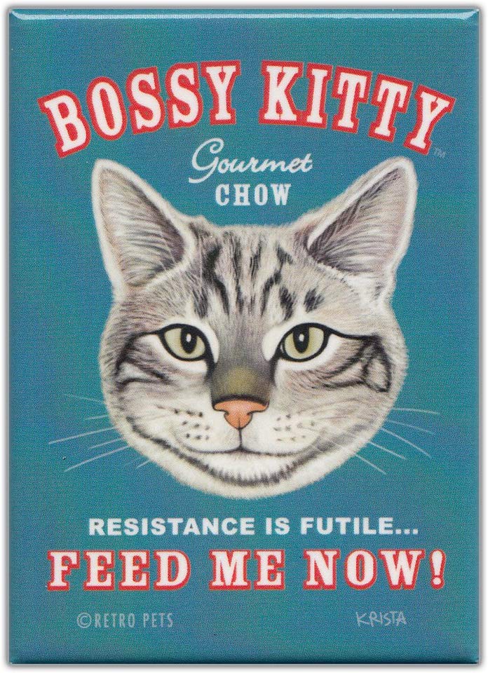 Retro Pets Bossy Kitty Magnet