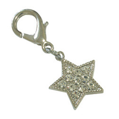 Pooch Outfitters Collar Charm, Starlet