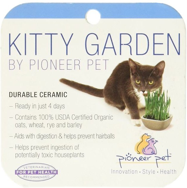 Pioneer Pet Ceramic Kitty Garden Refill