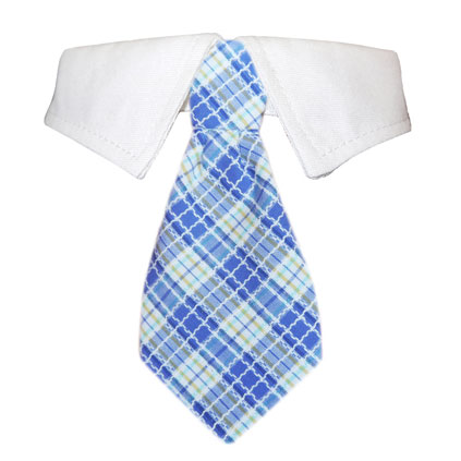 Pooch Outfitters Shirt Collar with Detachable Necktie, Kevin