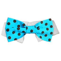 Pooch Outfitters Shirt Collar with Detachable Bow Tie, Conner