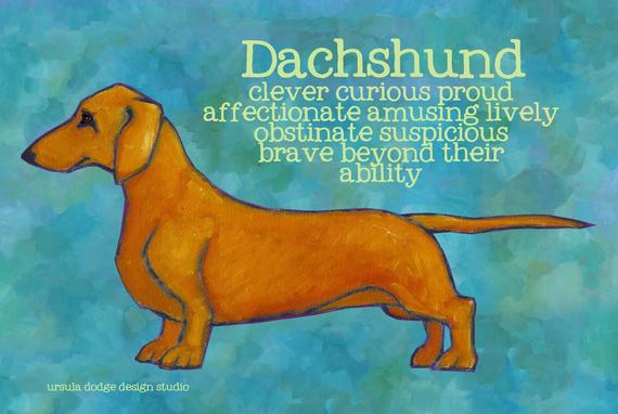 Ursula Dodge Design Studio Dachshund Magnet