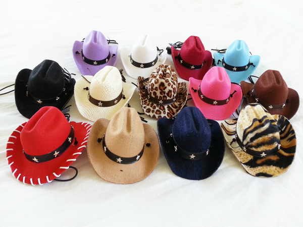 PAMPET / Puppe Love Cowboy Hat For Dogs, Black Straw