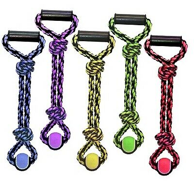 Multipet Nuts for Knots 2-Knot Rope Tug with Tennis Ball Dog Toy, Color Varies, 20-in
