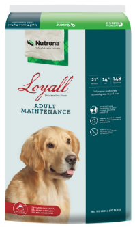 Nutrena Loyall Adult Maintenance Dry Dog Food