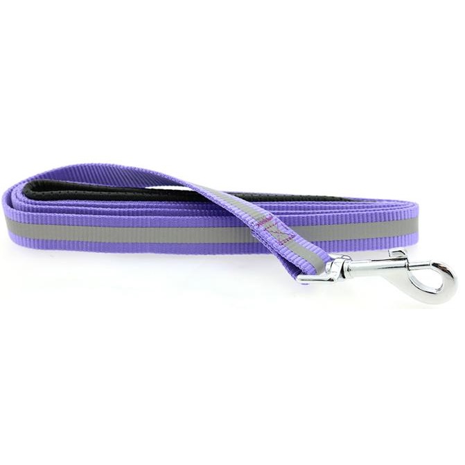 Doggie Design Basic Reflective Dog Leash, 5-ft x 3/4-in, Paisley Purple