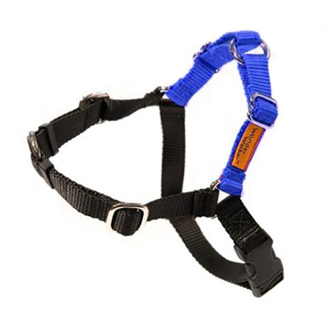 Walker dog outlet harness