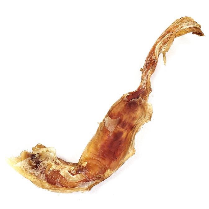 Tuesday's Natural Dog Company Bison Tendon Dog Treat, 1-count