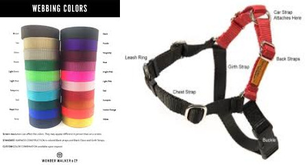 Dolan's Dog Doodads Wonder Walker Reflective Dog Harness, Color Varies, Large
