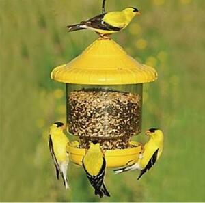 Songbird Essentials Clingers Only Bird Feeder, Yellow
