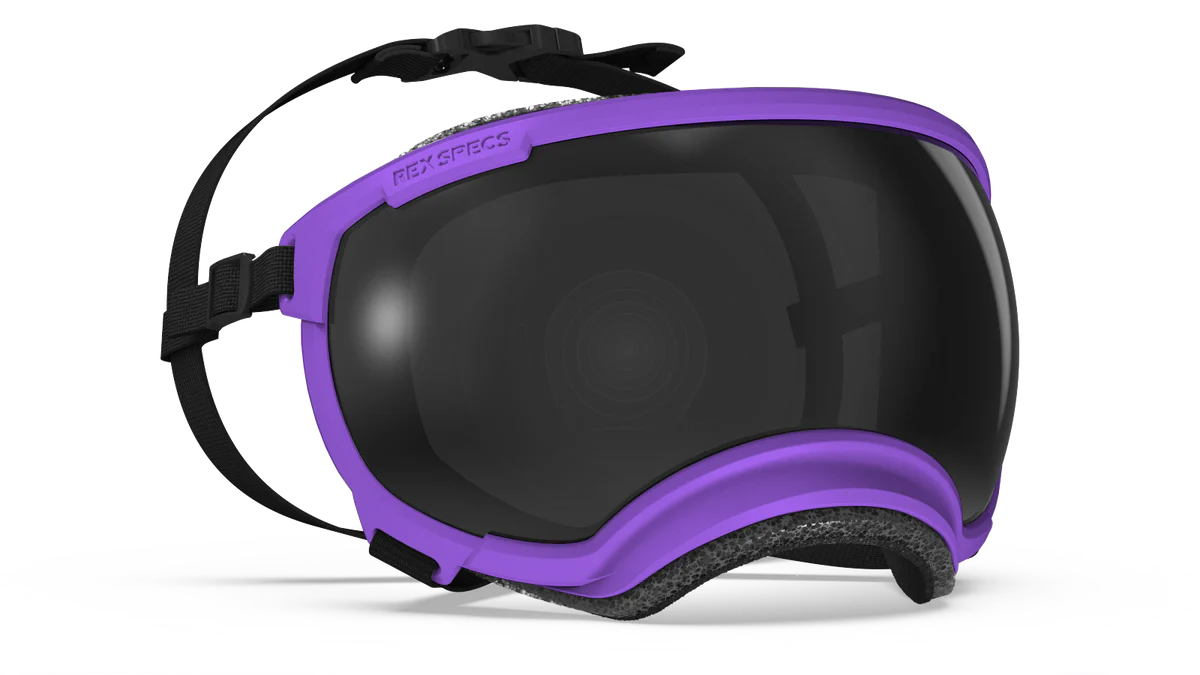 Rex Specs V2 Googles Pike Purple - Small