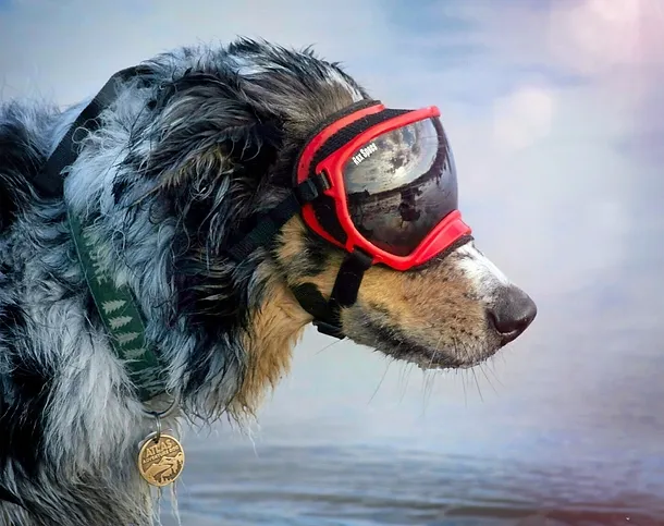 Rex Specs V2 Googles Volcano Red - Medium