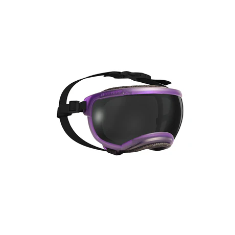 Rex Specs V2 Googles Riptide Purple - Medium