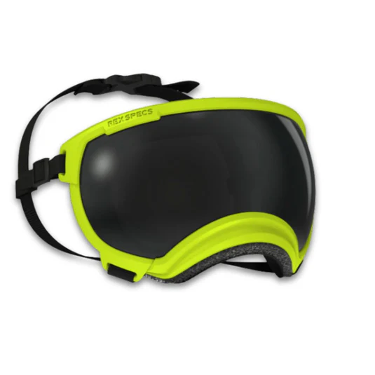 Rex Specs V2 Googles Electric Lime - Small