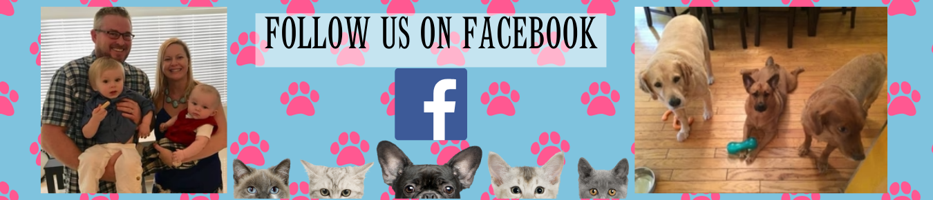 Follow us on Facebook!