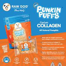 Raw Dog Beef Collagen Puffs - Pumpkin, 2.5oz