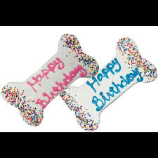 Preppy Puppy Birthday Bones