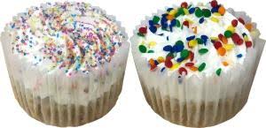 Preppy Puppy Birthday Cupcakes Cupcake
