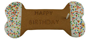 Preppy Puppy Wicked Huge Birthday Treat