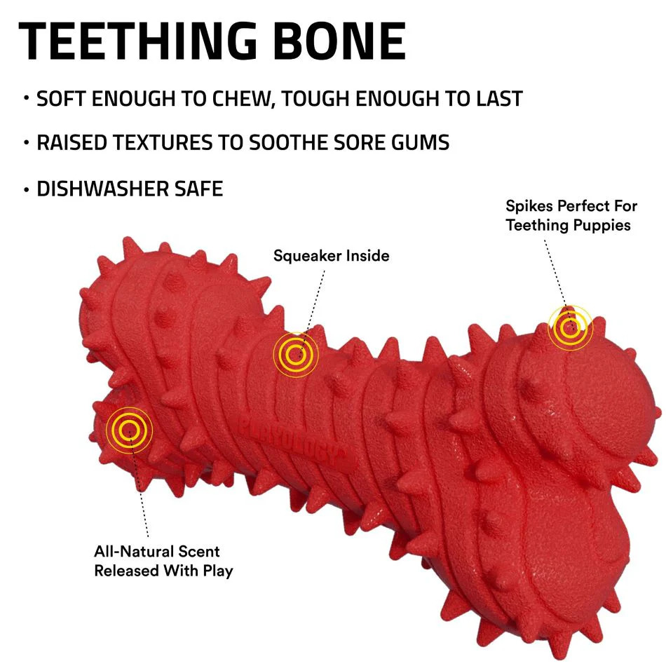 Playology Teething Bone