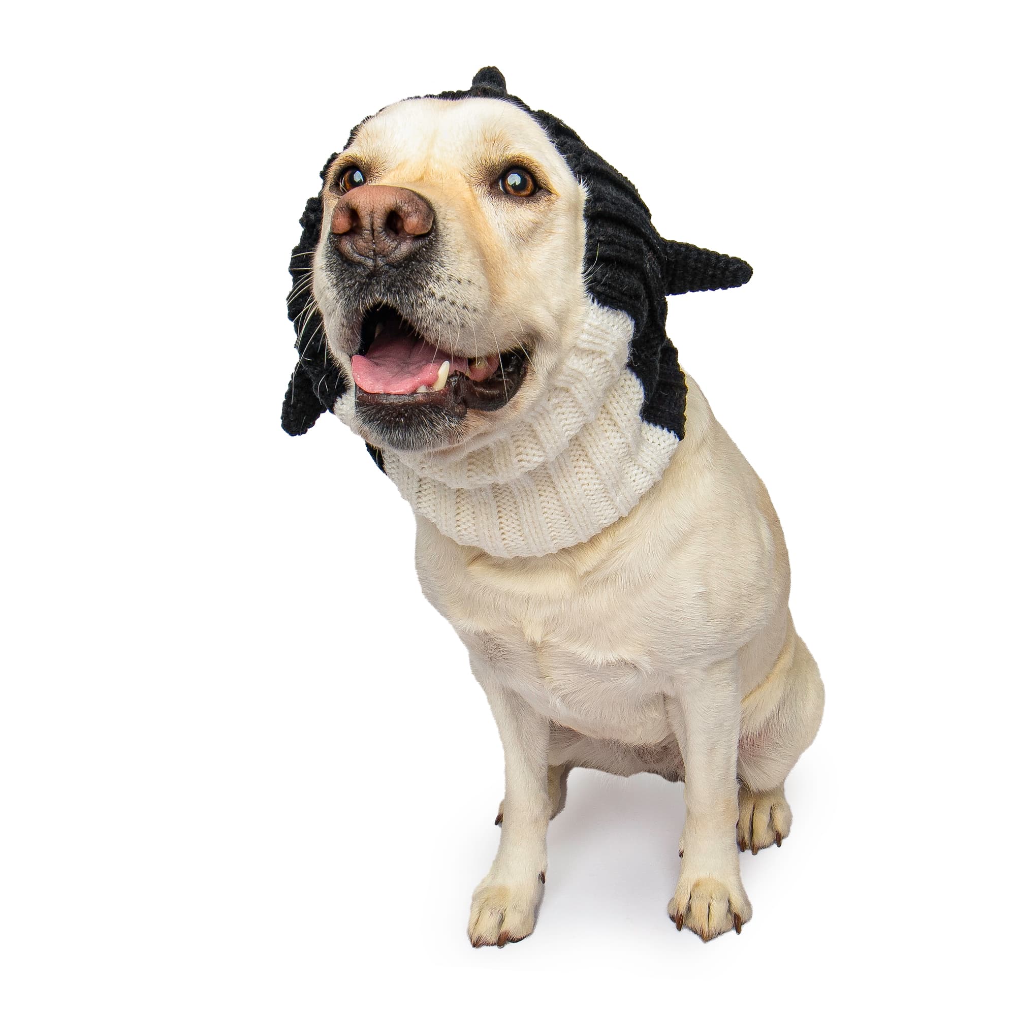 Zoo Snoods Orca Snood for Dogs, Large