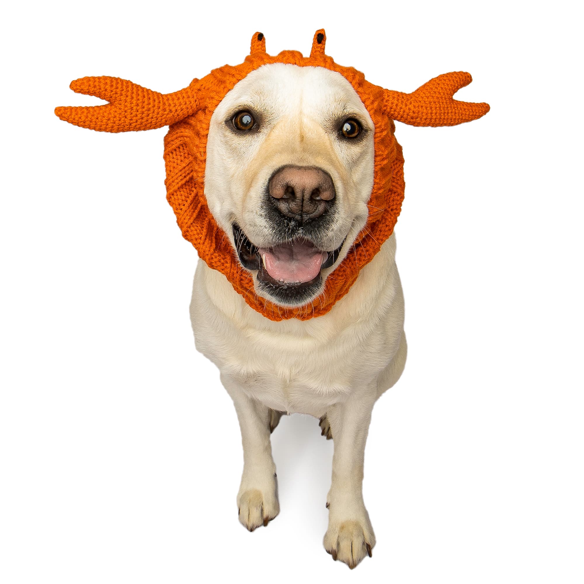 Zoo Snoods Crab Snood for Dogs, Large