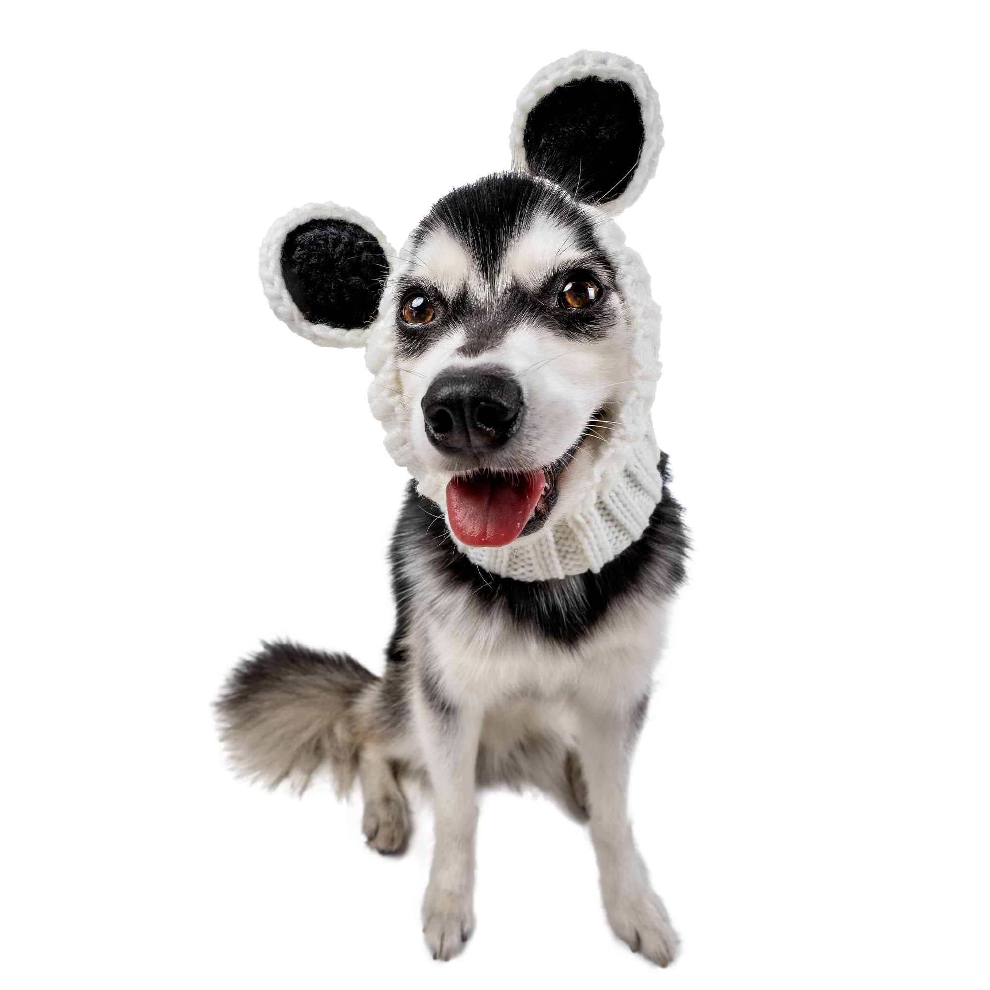 Zoo Snoods Panda Snood for Dogs, Medium