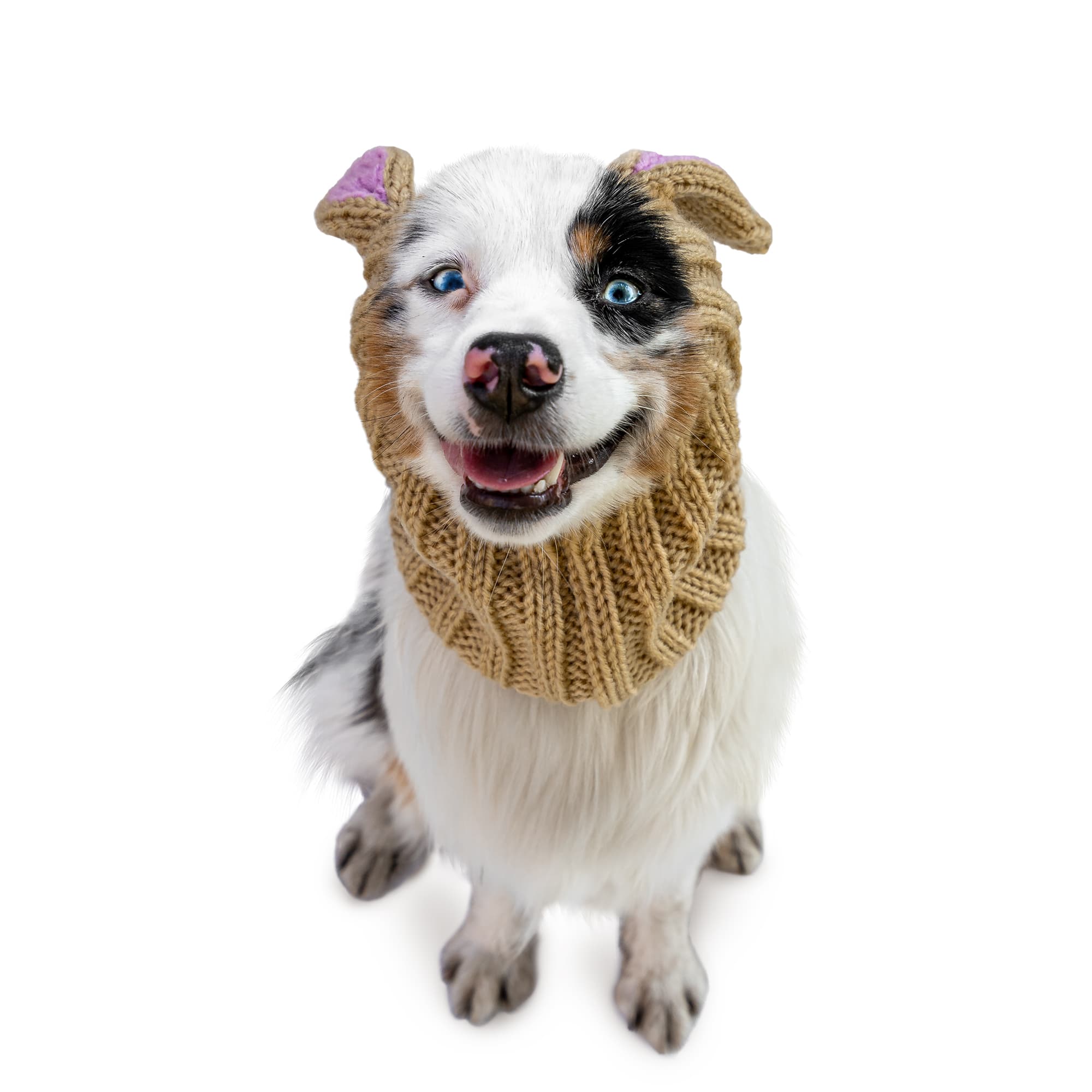 Zoo Snoods Jack Rabbit Snood for Dogs, Medium