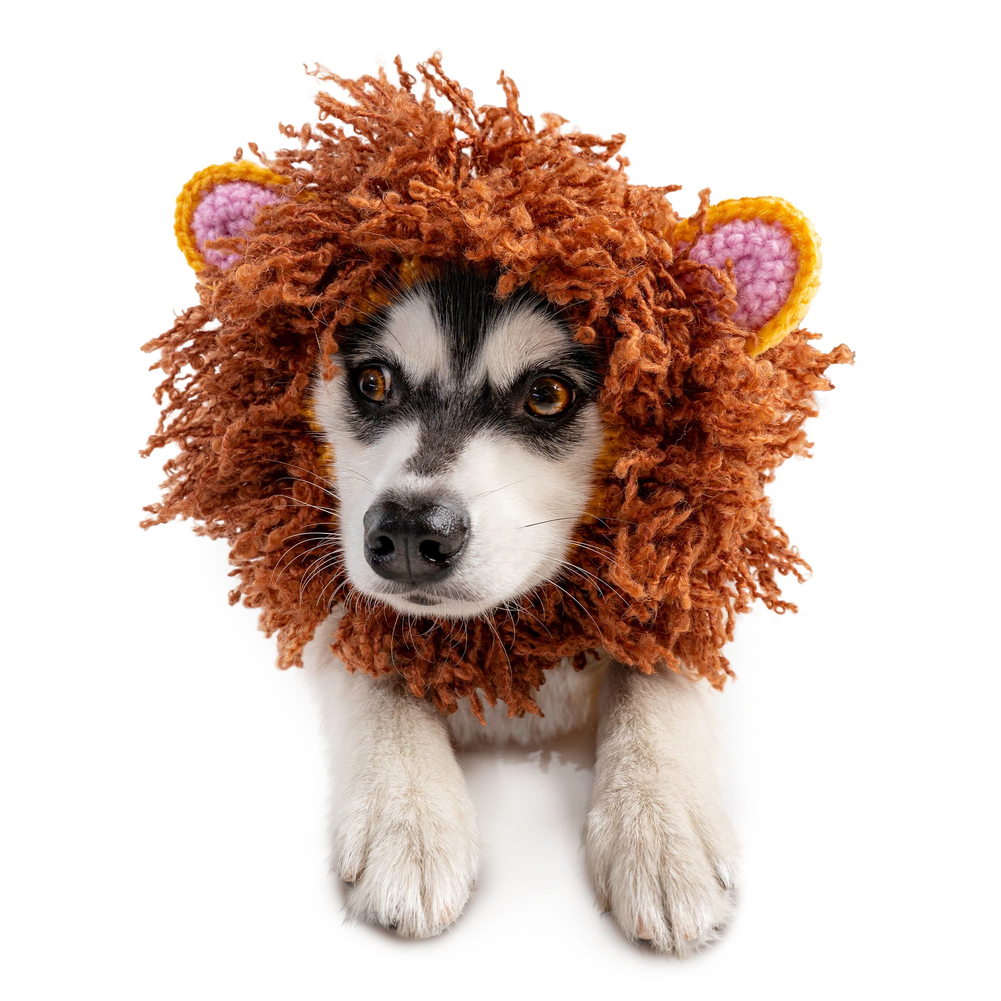 Zoo Snoods Lion Snood for Dogs, Medium