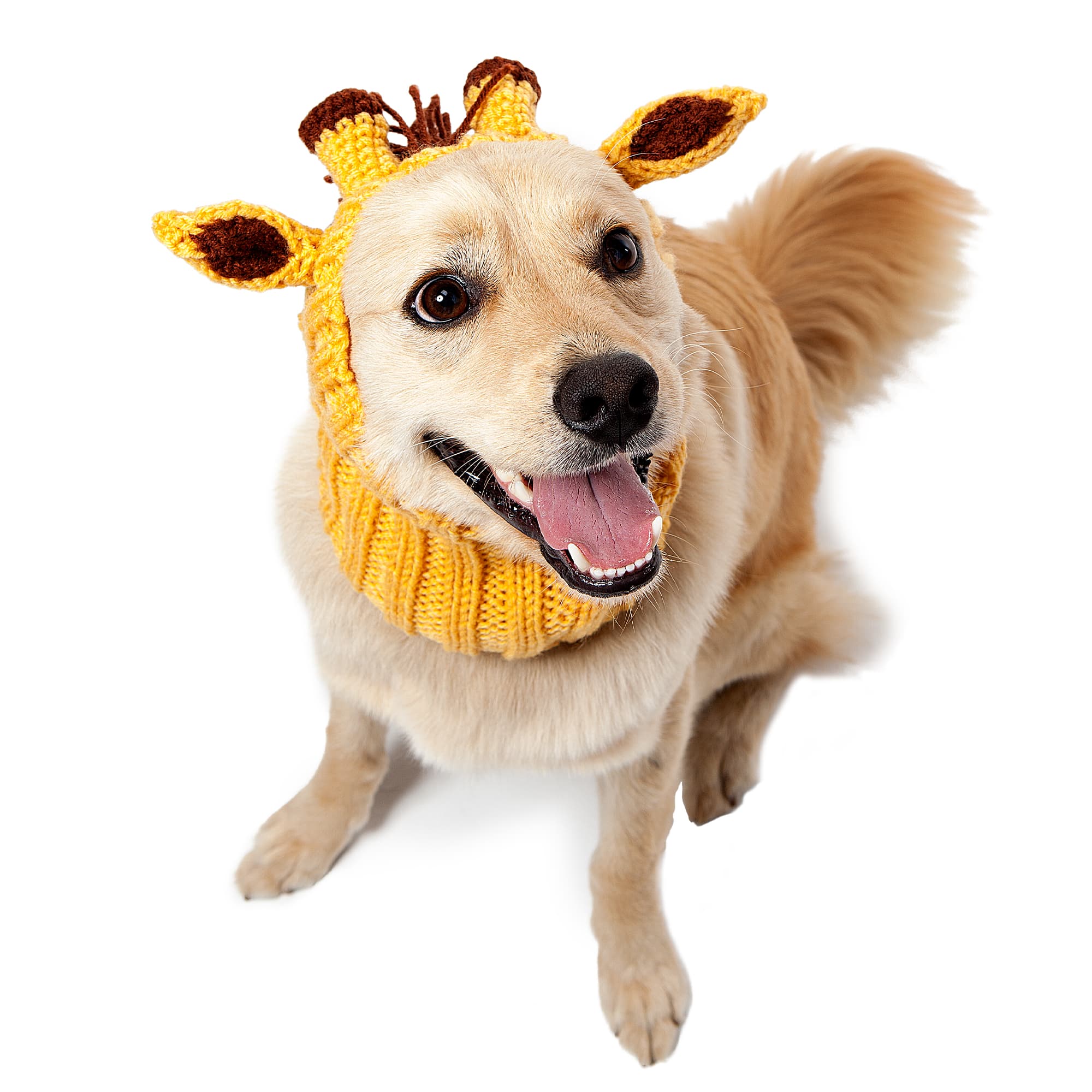 Zoo Snoods Giraffe Snood for Dogs, Medium