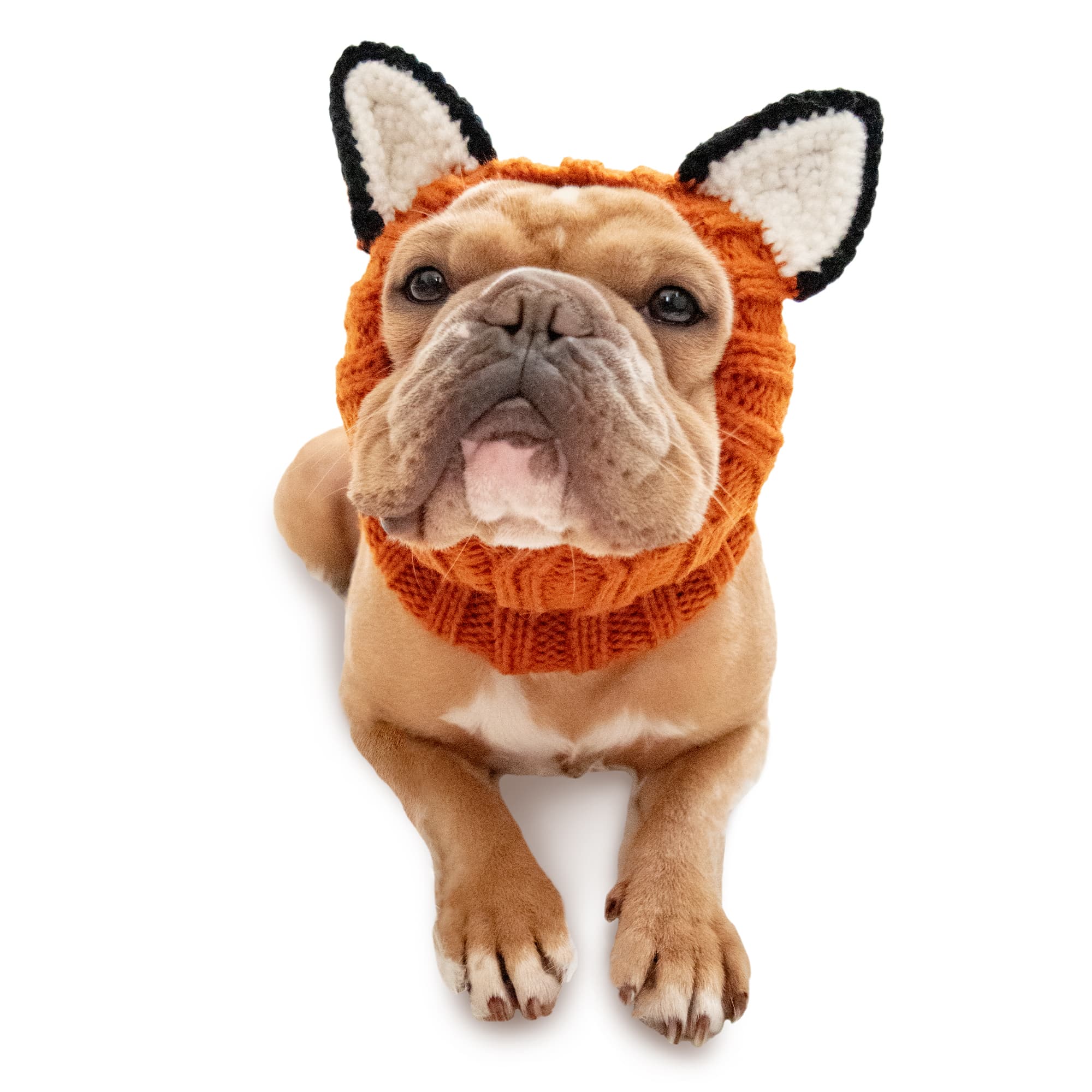 Zoo Snoods Fox Snood for Dogs, Medium