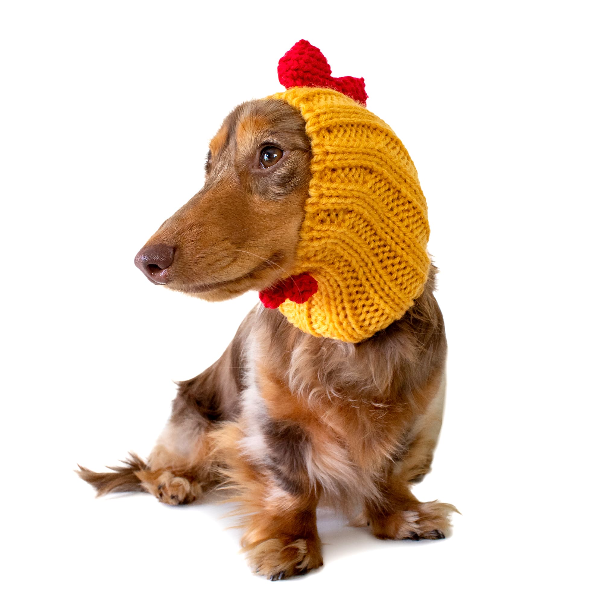 Zoo Snoods Rooster Snood for Dogs, Small
