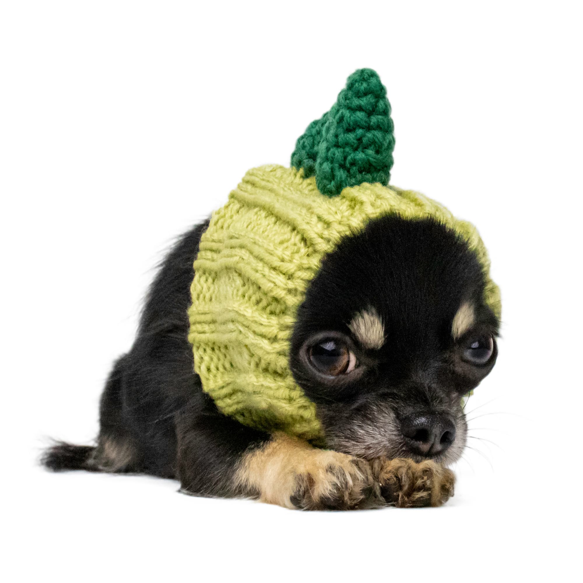 Zoo Snoods Dinosaur Snood for Dogs, Small