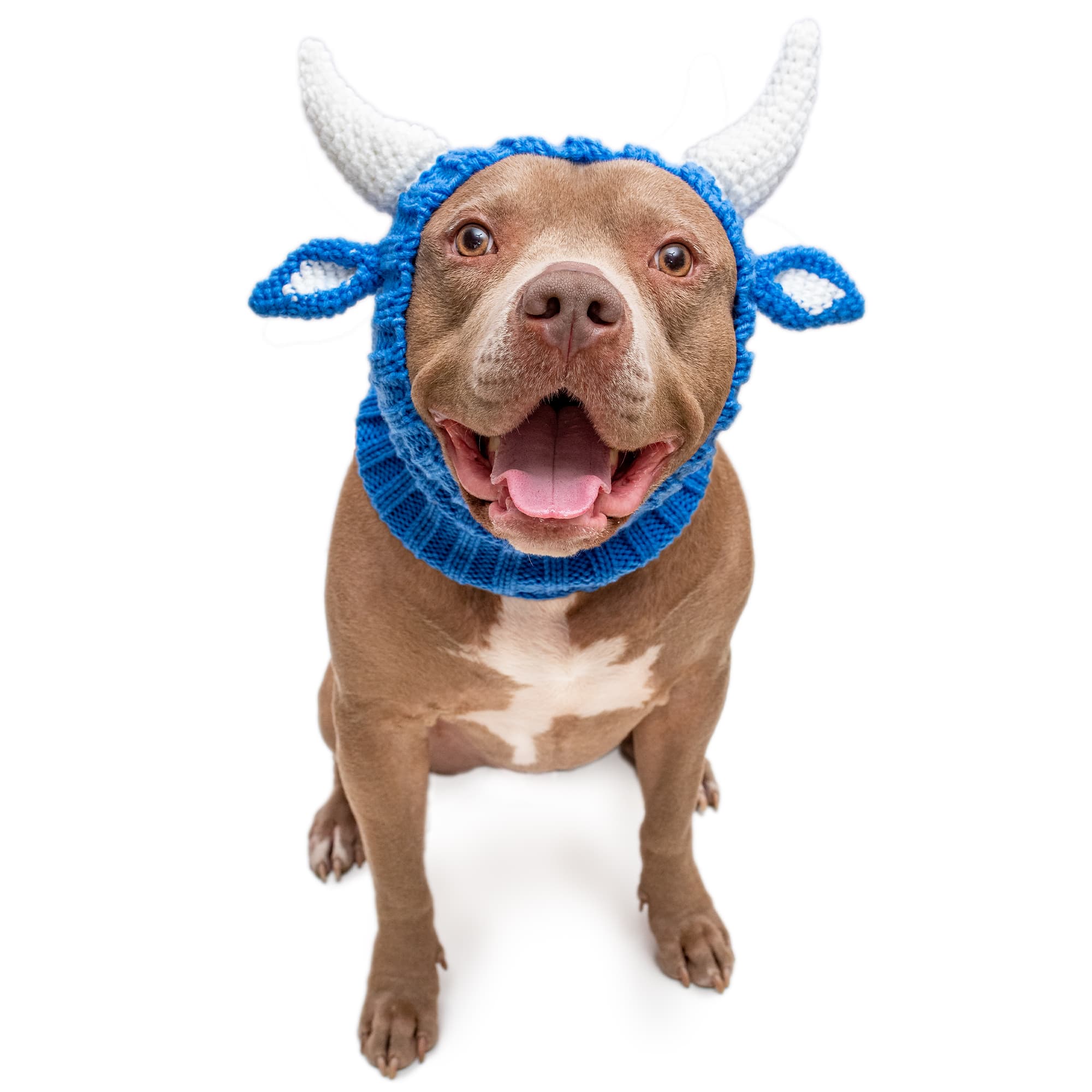 Zoo Snoods Blue Ox Snood for Dogs, Large