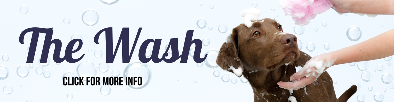 The Wash