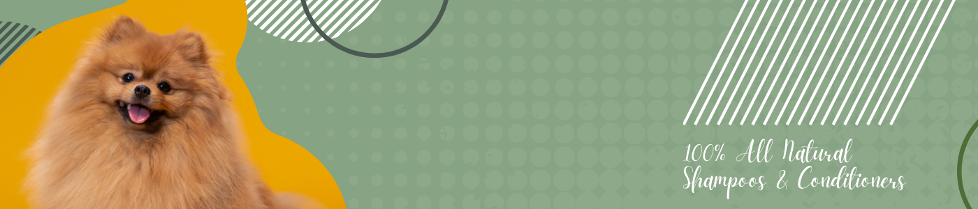 background banner