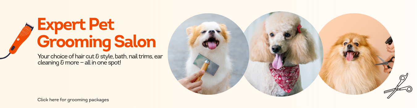 Expert Pet Grooming Spa & Salon