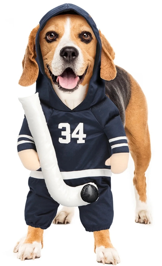 Show & Tail Pet Apparel Baseball The Home Ruff, Blue (Size: M)