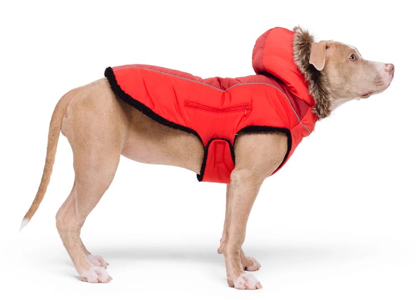 Show & Tail The Fur-Ever Coat, Red (Size: M)