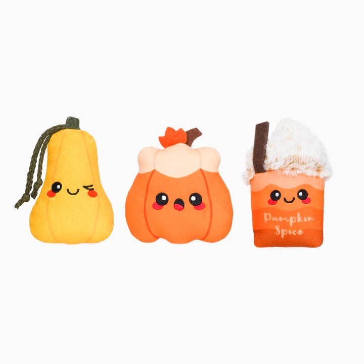 HugSmart Pet - Autumn Tailz - Pumpkin Play - Dog Plush Toy