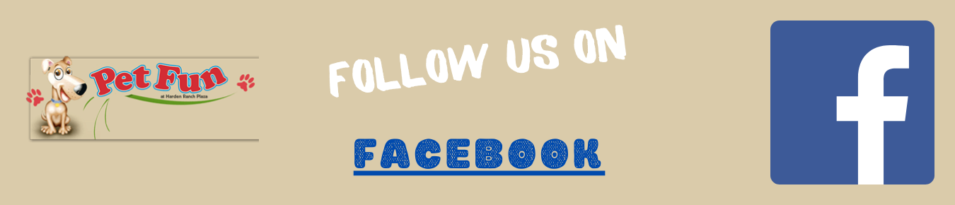 Like Us on Facebook!