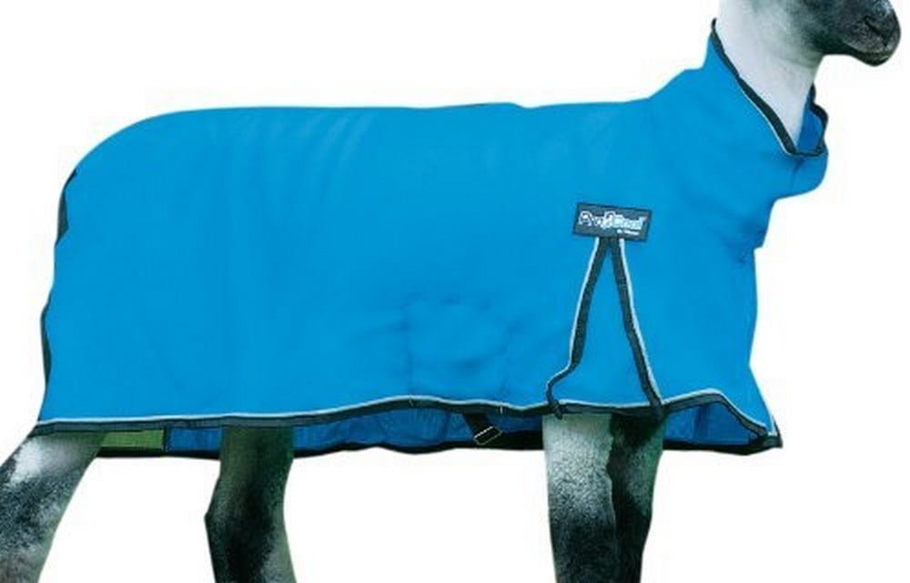 Procool Sheep Blanket, MED