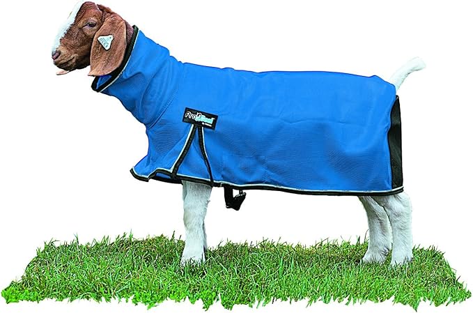 Procool Goat blanket, XLG